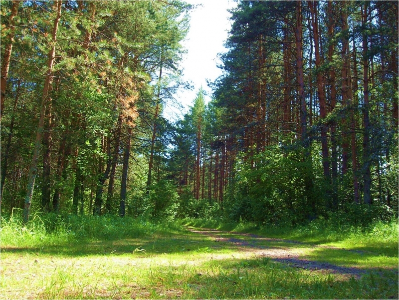 Клим гора