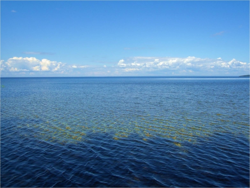 Онего